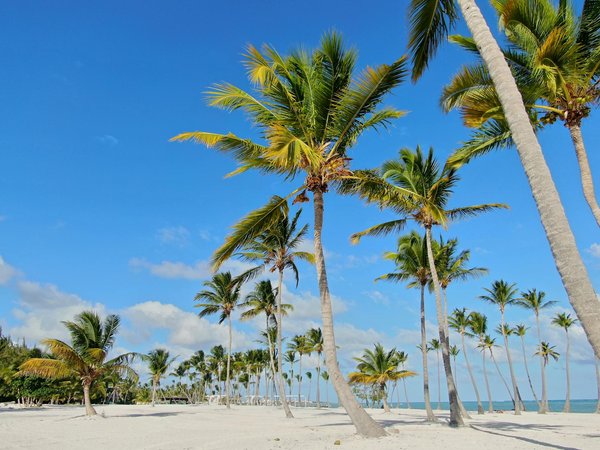 Une croisière eco-responsable sur la Seine