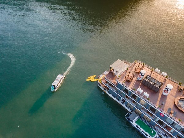 Les meilleures tentes de camping pour chaque aventure extérieure